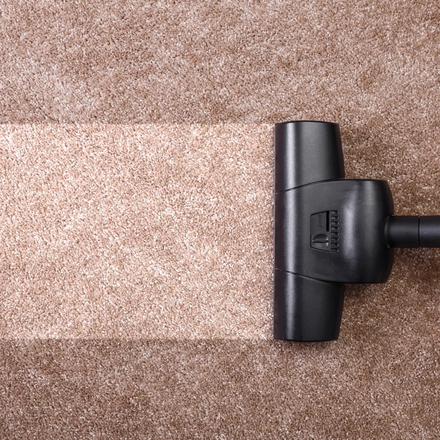 Carpet cleaning | Dothan Design Studio